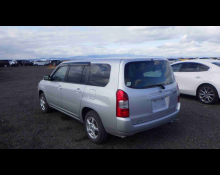 Toyota Succeed Wagon 2019