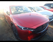 Used Japanese Cars For Sale At Best Price