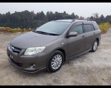 Toyota Corolla Fielder 2009