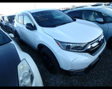 Used Honda Cr-v Cars For Sale in Japan