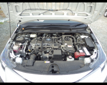 Toyota Corolla Sport 2022