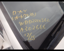 Mercedes Benz S-Class 2009