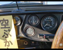 Panther Kallista 1985