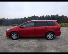 Toyota Corolla Fielder 2010