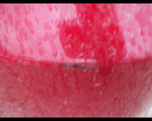 Toyota Corolla Fielder 2010