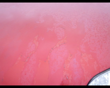 Toyota Corolla Fielder 2010