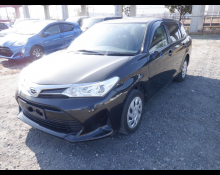Toyota Corolla Fielder 2019