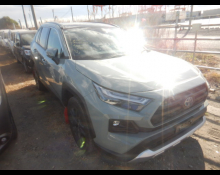 Used Toyota Rav4 Cars For Sale in Japan