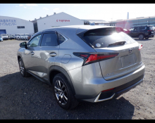 Lexus NX 2020