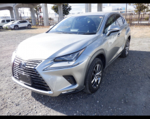 Lexus NX 2020