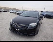 Toyota Corolla Fielder 2010