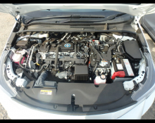 Toyota Corolla Sport 2023