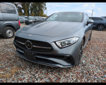 Mercedes Benz CLS-Class 2023