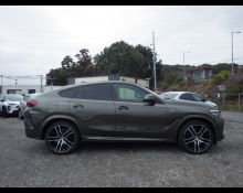 BMW X6 2021