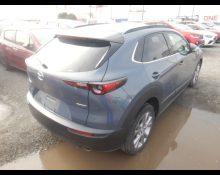 Mazda CX-30 2021