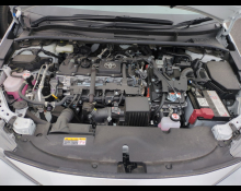 Toyota Corolla Sport 2025