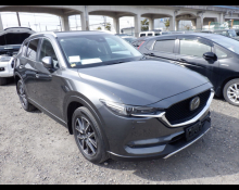 2014 to 2023 Used Cars For Sale In Japan