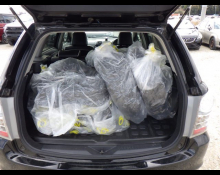 Toyota Corolla Fielder 2010