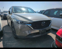 Used Japanese Cars For Sale At Best Price