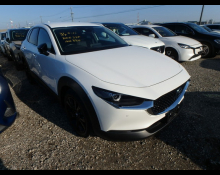 Used Mazda Cx-3 Cars For Sale in Japan