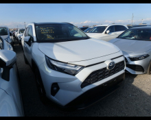 Used TOYOTA Rav4 Cars For Sale in Japan