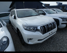 Toyota Land cruiser 2023 For Sale and Price