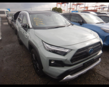 Used TOYOTA Rav4 Cars For Sale in Japan