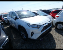 Used TOYOTA Rav4 Cars For Sale in Japan