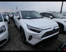 Used TOYOTA Rav4 Cars For Sale in Japan