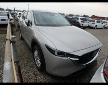 2024 to 2025 Used Cars For Sale In Japan