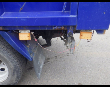 Isuzu Elf 2006