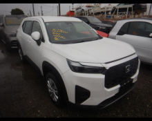 Used Honda Wr-v Cars For Sale in Japan