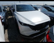 Used Japanese Cars For Sale At Best Price