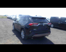 Toyota RAV4 2020