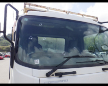 Isuzu Forward 2011