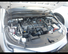 Toyota Corolla Sport 2023