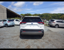 Toyota RAV4 2024