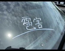 Toyota Corolla Fielder 2019