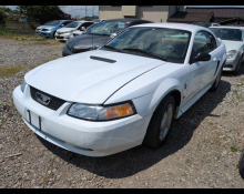 Ford Mustang 2000