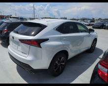 Lexus NX 2020