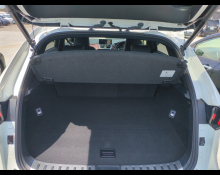 Lexus NX 2020