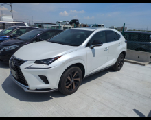 Lexus NX 2020