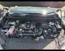 Lexus NX 2020