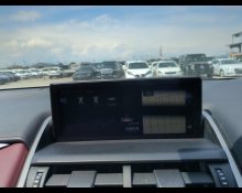 Lexus NX 2020