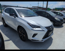 Lexus NX 2020