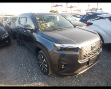 Honda WR-V 2024