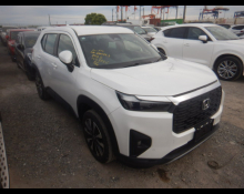 Used Honda Wr-v Cars For Sale in Japan