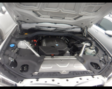 BMW X4 2022