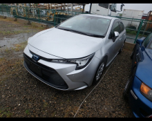 Toyota Corolla 2024