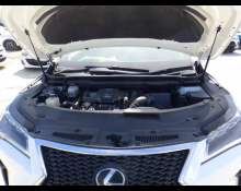 Lexus RX 2016